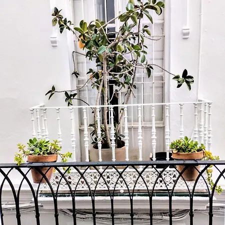 Lanza En El Corazon De Sevilla *
