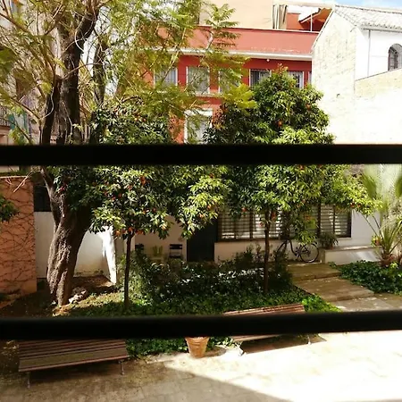 Centrally Located In Old Palace House *