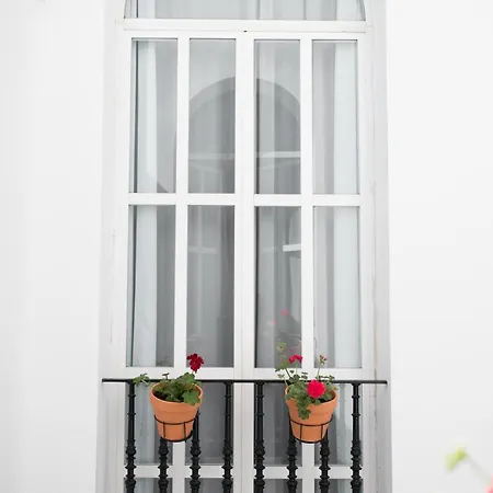 Apartment Rey De Flats - Arenal Seville