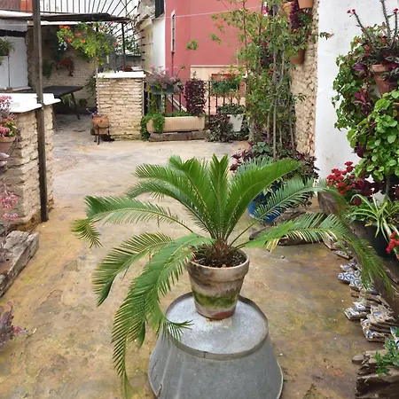 Dona Ines Barrio Santacruz Seville