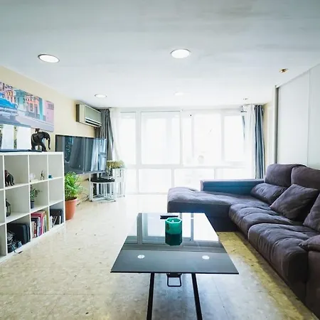 Espacioso En El Centro De La Ciudad Apartment
