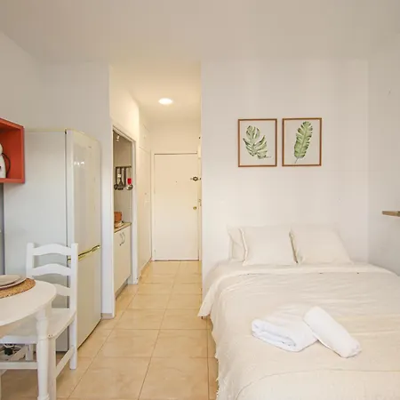Apartment Fabulous With Great Views - 15m Giralda