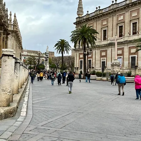 Lovely Loft Junto A La Giralda * Seville