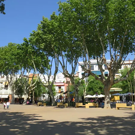 Amplio Y Acogedor - Centro - San Luis Seville
