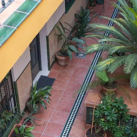 Junto A Setas De Apartment *
