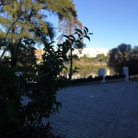 Disfruta Desde Triana Junto Al Rio Apartment Seville