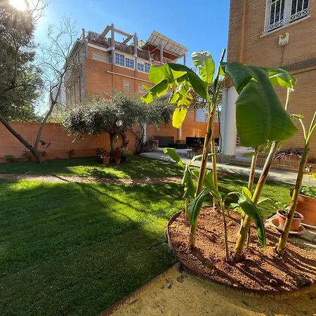 El Jardin De La Palmera
