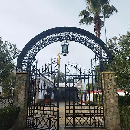 Naranjo Villa Sevilla