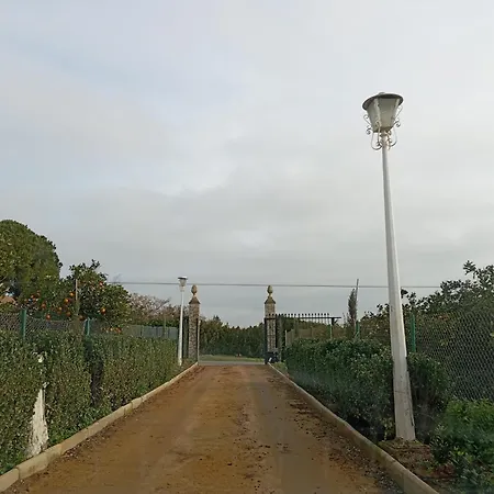 Villa Naranjo Sevilla