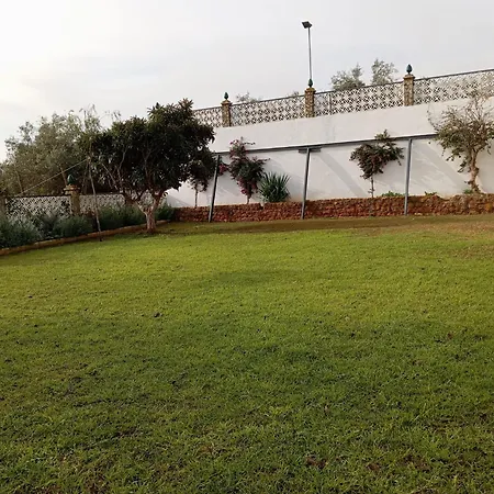 Naranjo Villa Sevilla