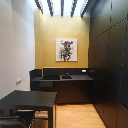 Apartment Duplex Luxury Giralda With Terrace