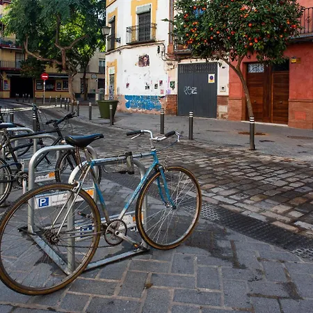 Alohamundi Montesion * Seville