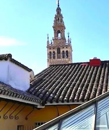 Conteros Centro Seville