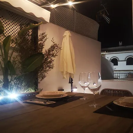 Duplex Luxury Giralda With Terrace Apartment *