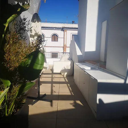 Duplex Luxury Giralda With Terrace Seville