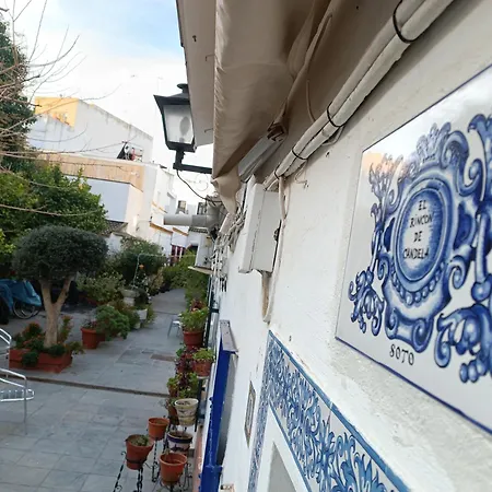 Tipico Y Pintoresco Patio De Vecinos, Con Encanto Apartment *