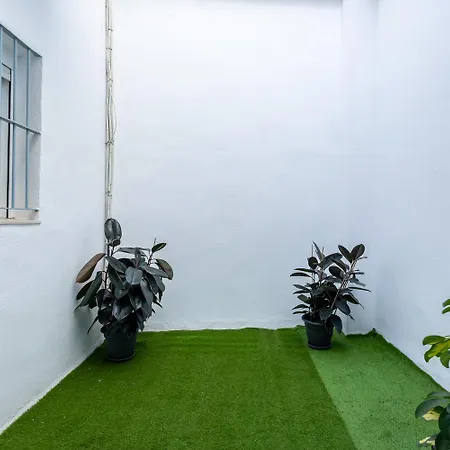 The Clover Guest house