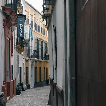 Esencia De Seville