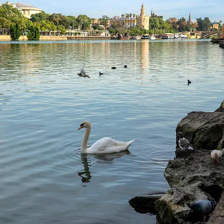 Appartamento Pierre&vacances Sevilla Siviglia