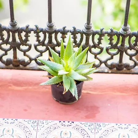 Guest house Dulces Suenos Seville