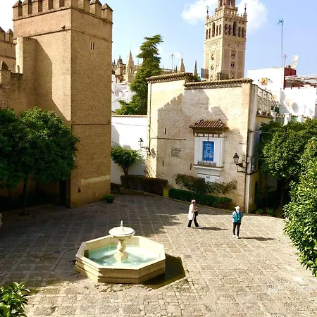 Gotoseville Santa Cruz Catedral Apartment Seville