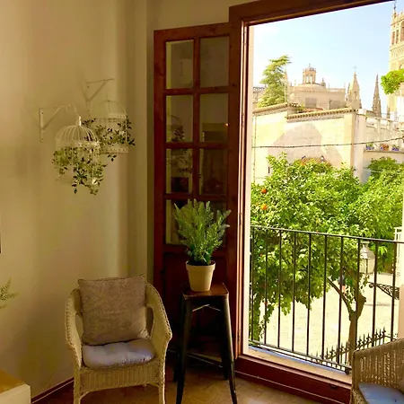 Gotoseville Santa Cruz Catedral Apartment *