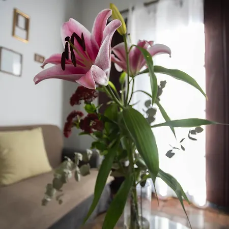 Casa Del Siglo Xvii Holiday home Seville