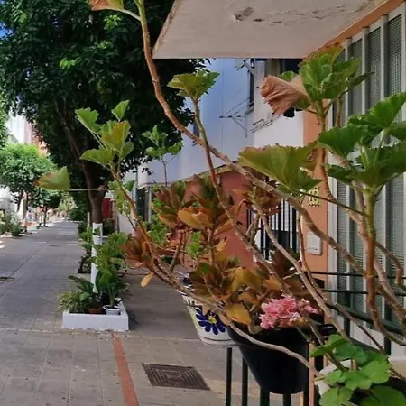 Apartamento Triana