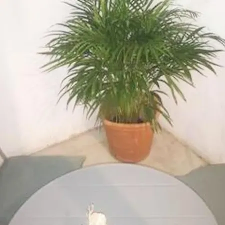 Apartment Sweet Catalina-centric 4 Guests *