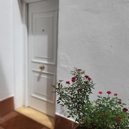 Centuria Macarena, Apartamento Duplex Apartment *
