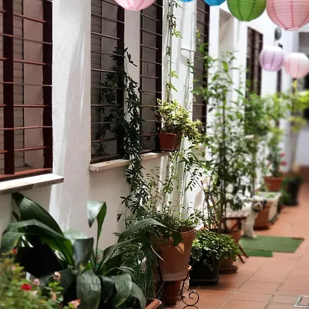 Centuria Macarena, Apartamento Duplex