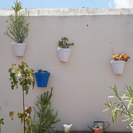 Blue House Arenal Apartment Seville