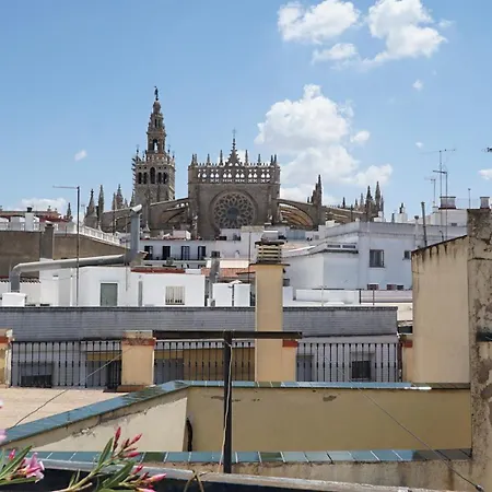 Blue House Arenal Seville