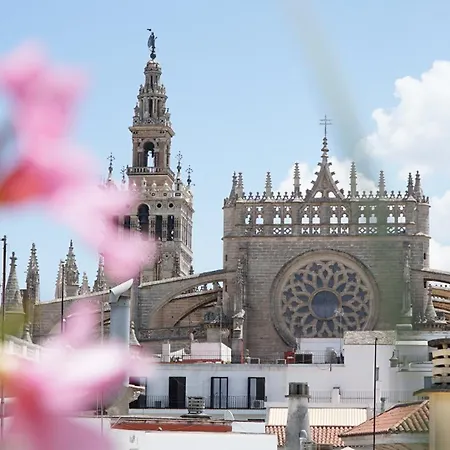Blue House Arenal Seville