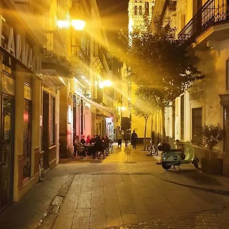 ¡en Frente De La Giralda-catedral! Apartment Seville