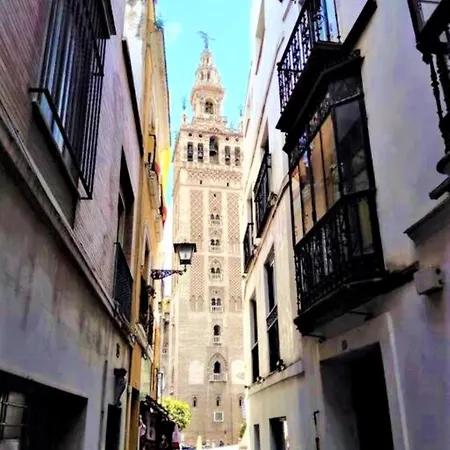 ¡en Frente De La Giralda-catedral! Apartment