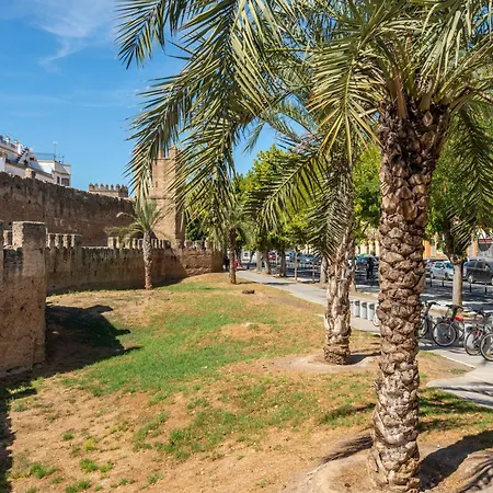 Modern Atico, Close Macarena/sevilla Center Seville