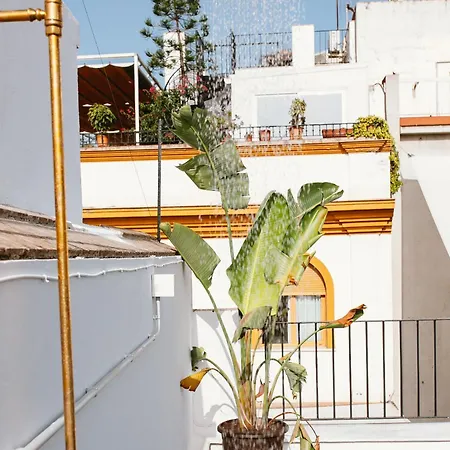 Lujoso Con Piscina Compartida 2 Sevilla