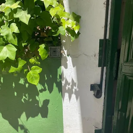 Rentalsevilla San Clemente *
