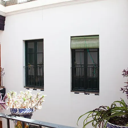 Apartamento Gotoseville Sierpes *