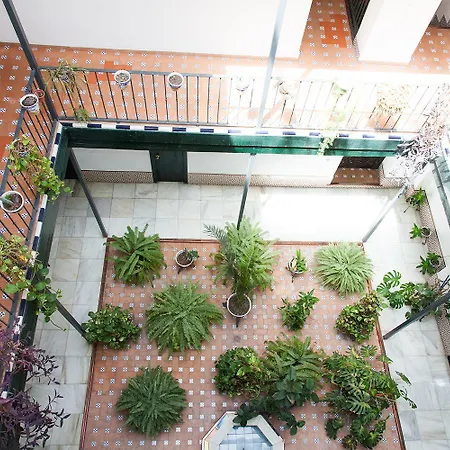 Apartamento Gotoseville Sierpes