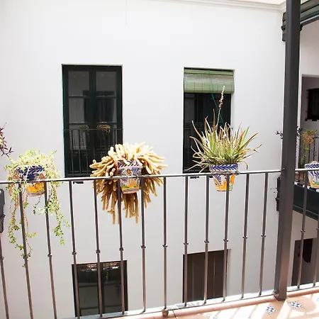 Gotoseville Sierpes Apartamento *