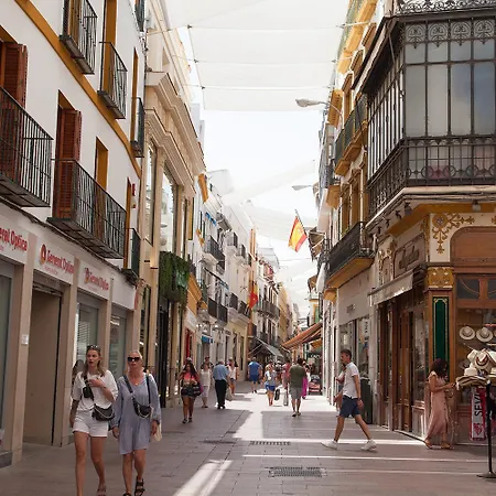 Gotoseville Sierpes Appartamento *