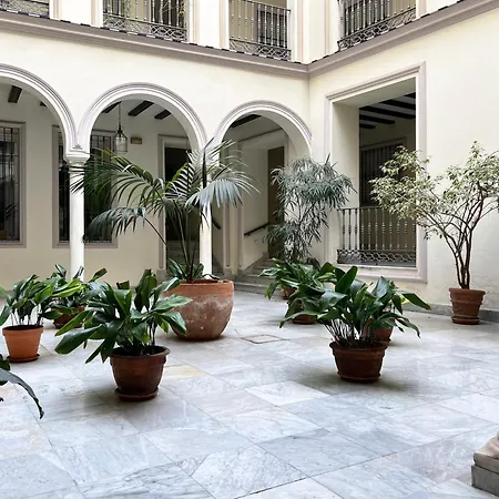 Estudio Calle San Vicente