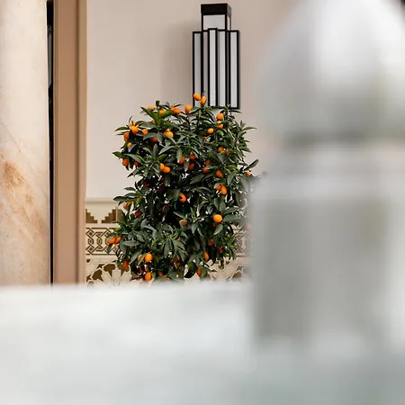 Hotel Casa Palacio Don Ramon