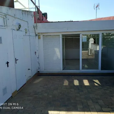 Alacas Seville