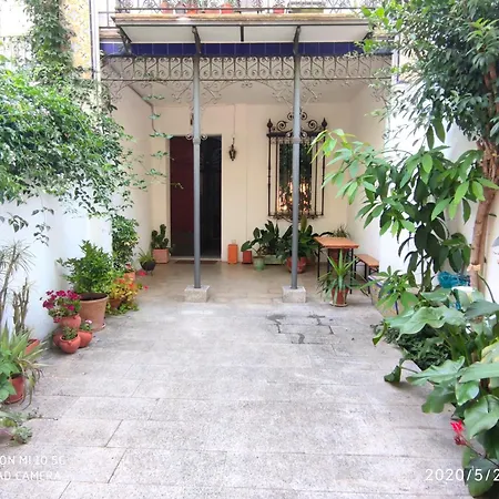 Alacas Apartment *