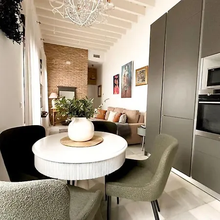 Atico Duplex Triana , * Seville