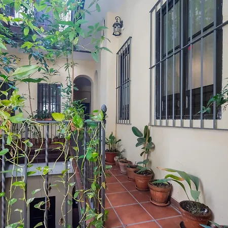 Apartment Plaza San Marcos *