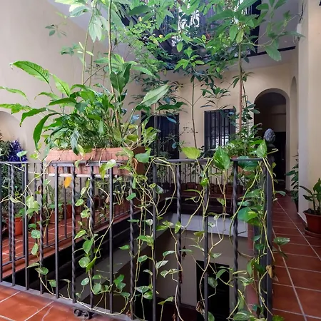 Plaza San Marcos Apartment
